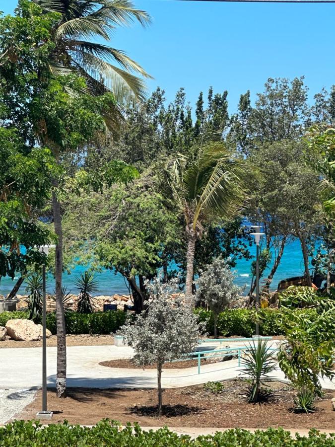 Whitehouse Boulevard, Close To Mambo Beach And City Centre Willemstad Exterior foto